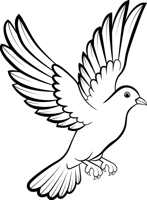 flying dove drawing